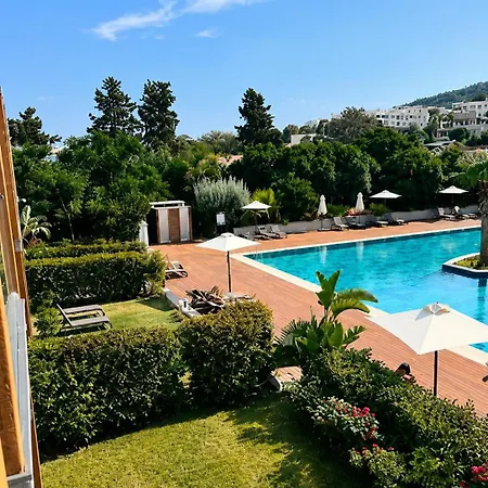 Celeste Bella Luxury & *