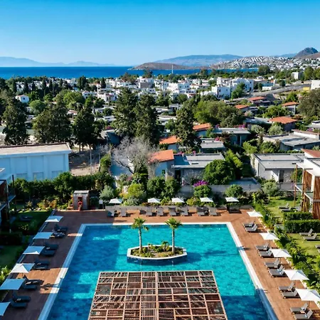 Celeste Bella Luxury &