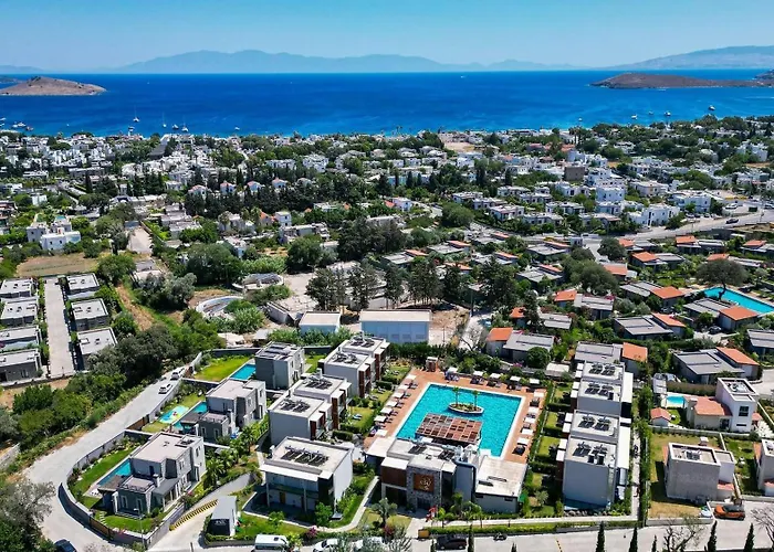 Celeste Bella Luxury &